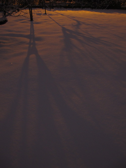 Images